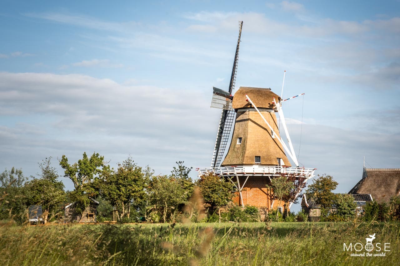 Windmühle De Hond Paesens Friesland Niederlande