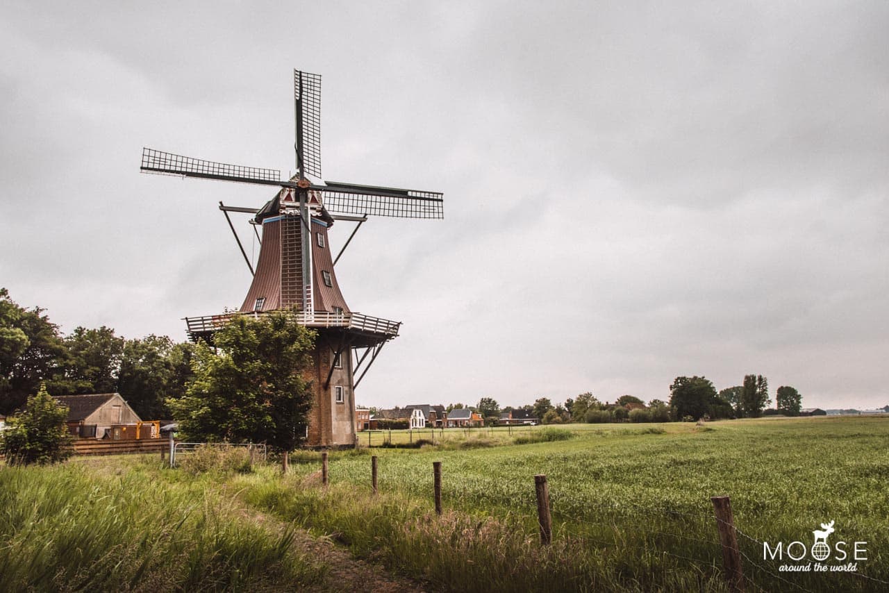 Windmühle Friesland Niederlande