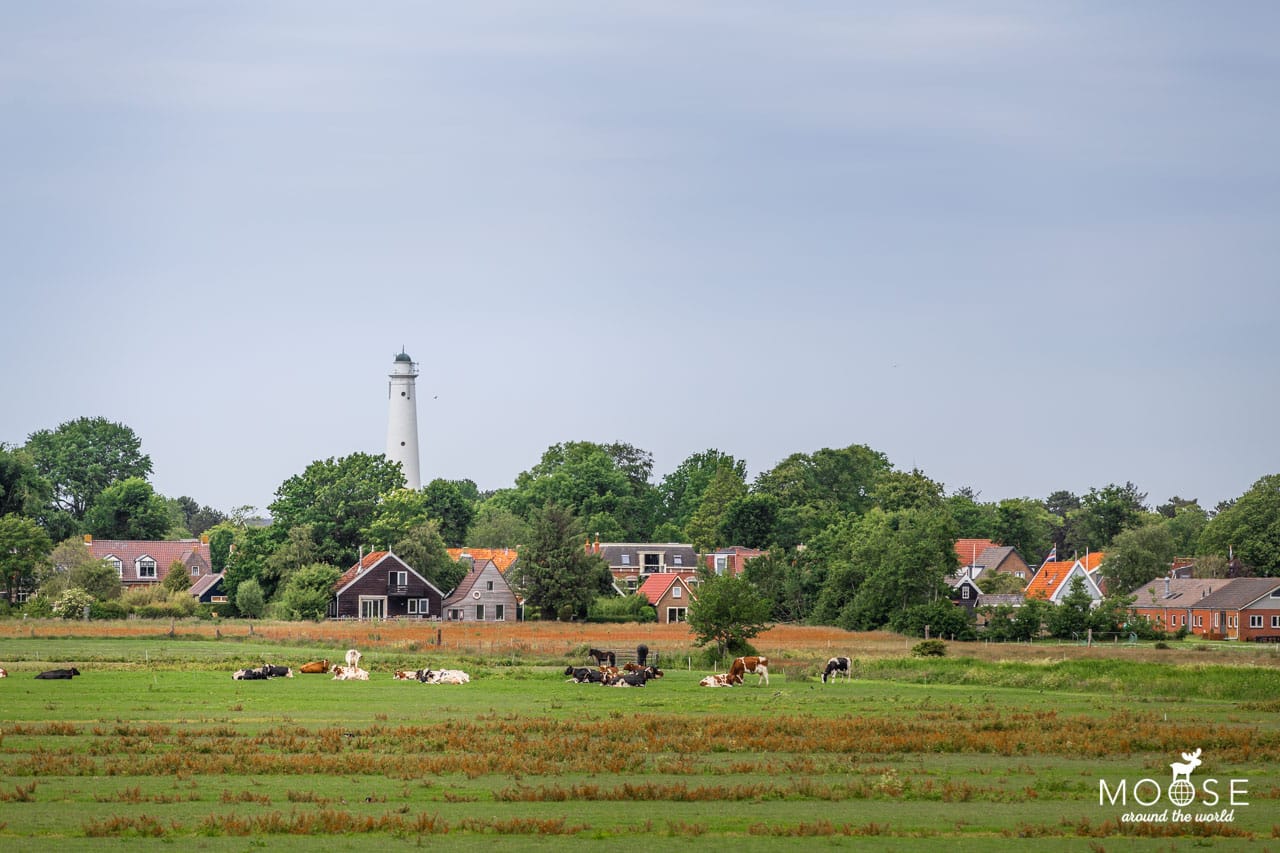 Schiermonnikoog Tagesausflug Lauwersmeer