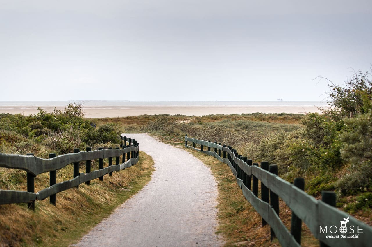 Schiermonnikoog Niederlande Insel Tagesausflug