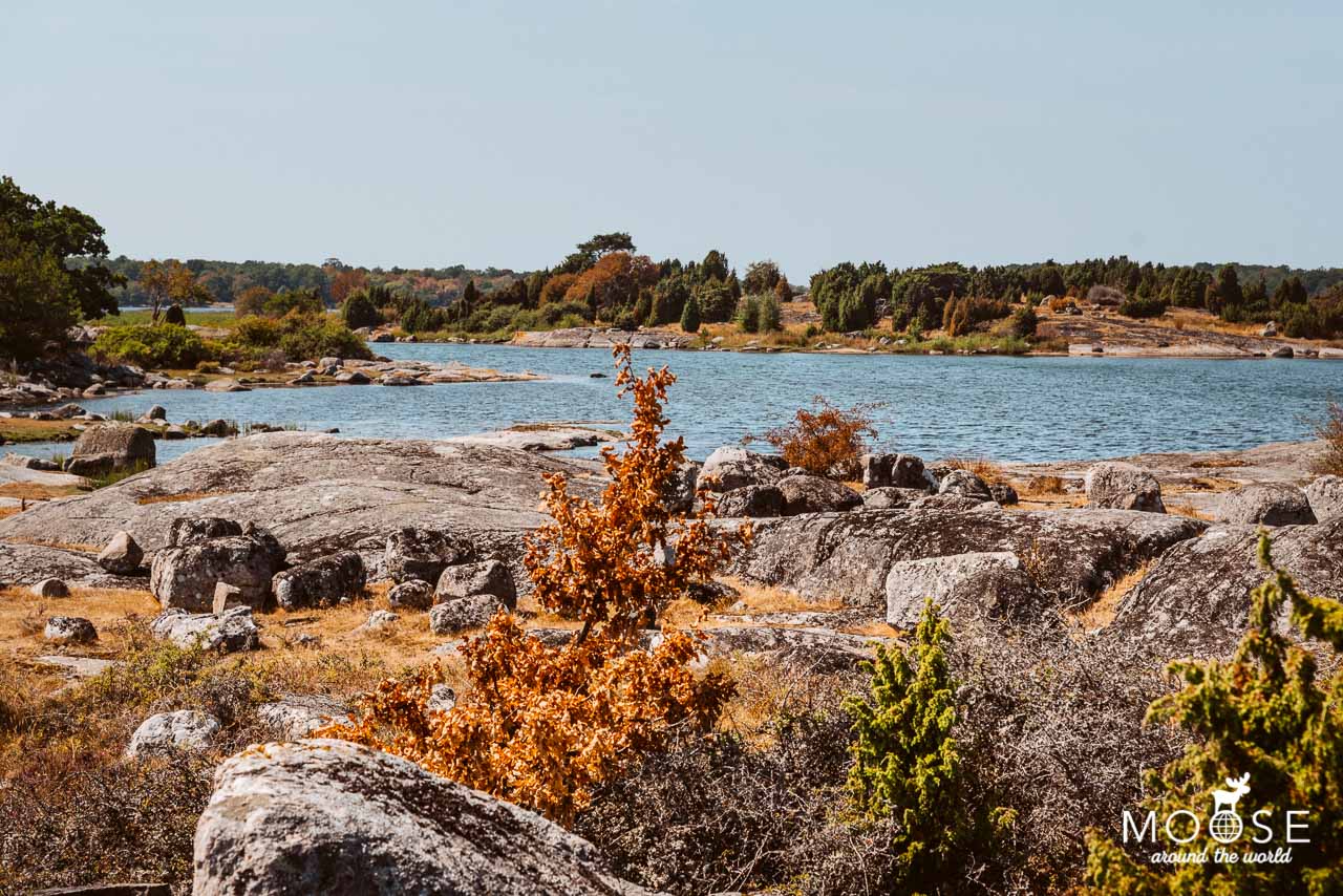 Blekinge Schweden Almö Naturreservat Almöleden