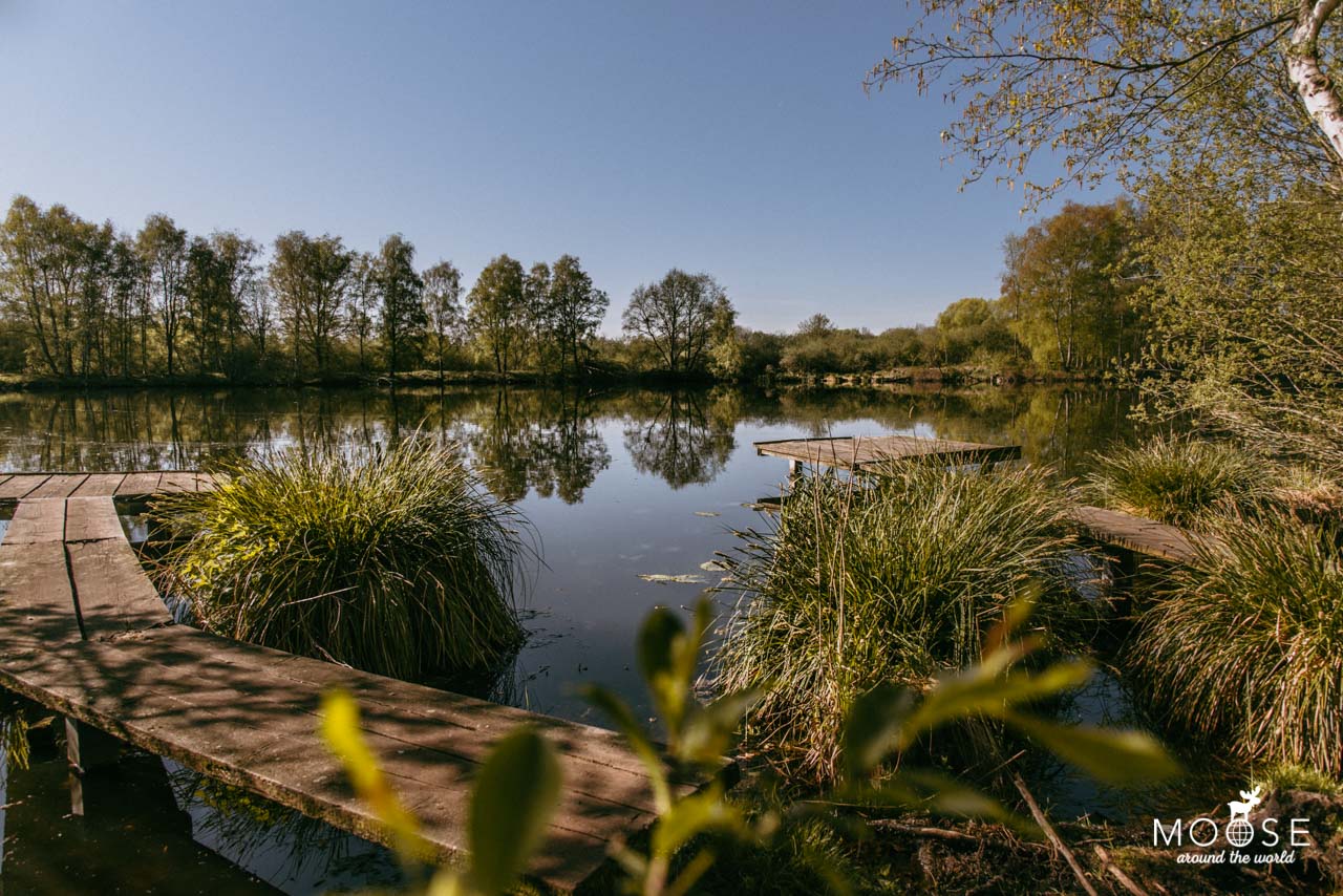 Niederrhein Zwei Seen Runde Borner See