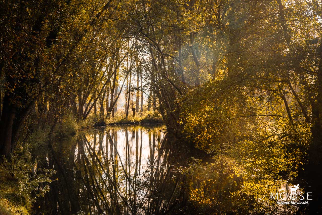 Borner See Zwei Seen Runde Brüggen Niederrhein