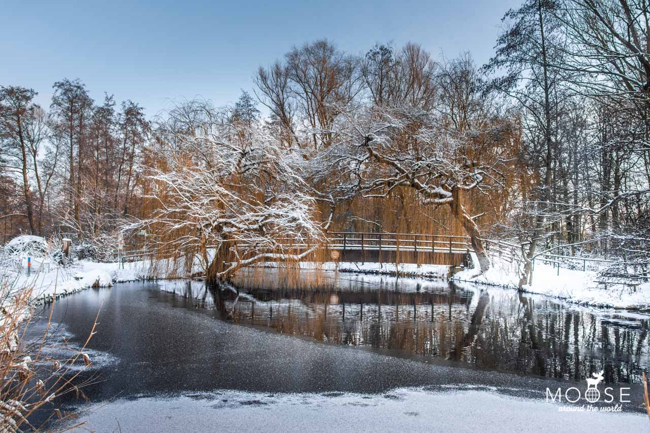 De Wittsee Rohrdommelprojekt Nettetal Niederrhein Landschaft Winter Schnee