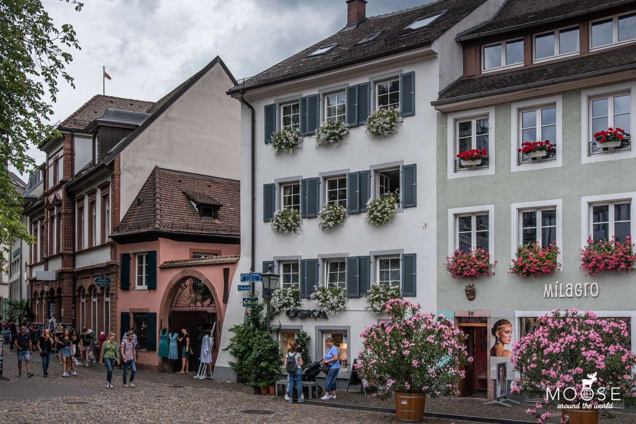 Familienurlaub Freiburg
