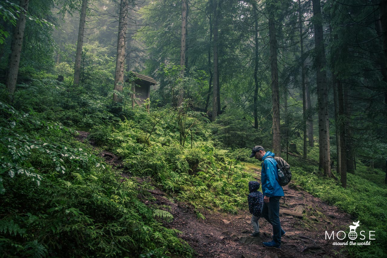 Holzweg Baiersbronn Wanderung Familien Kinder