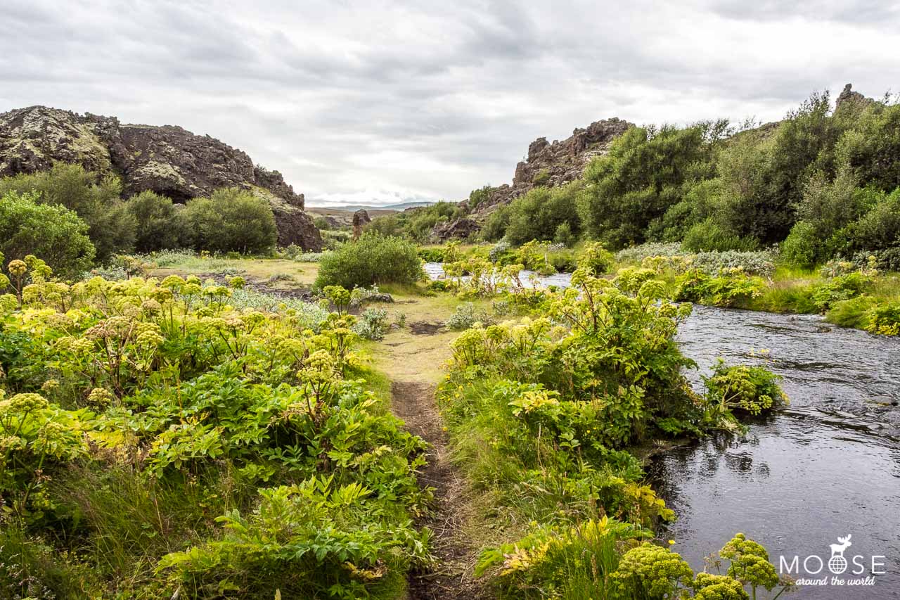 Saga Valley Landmannalaugar Island