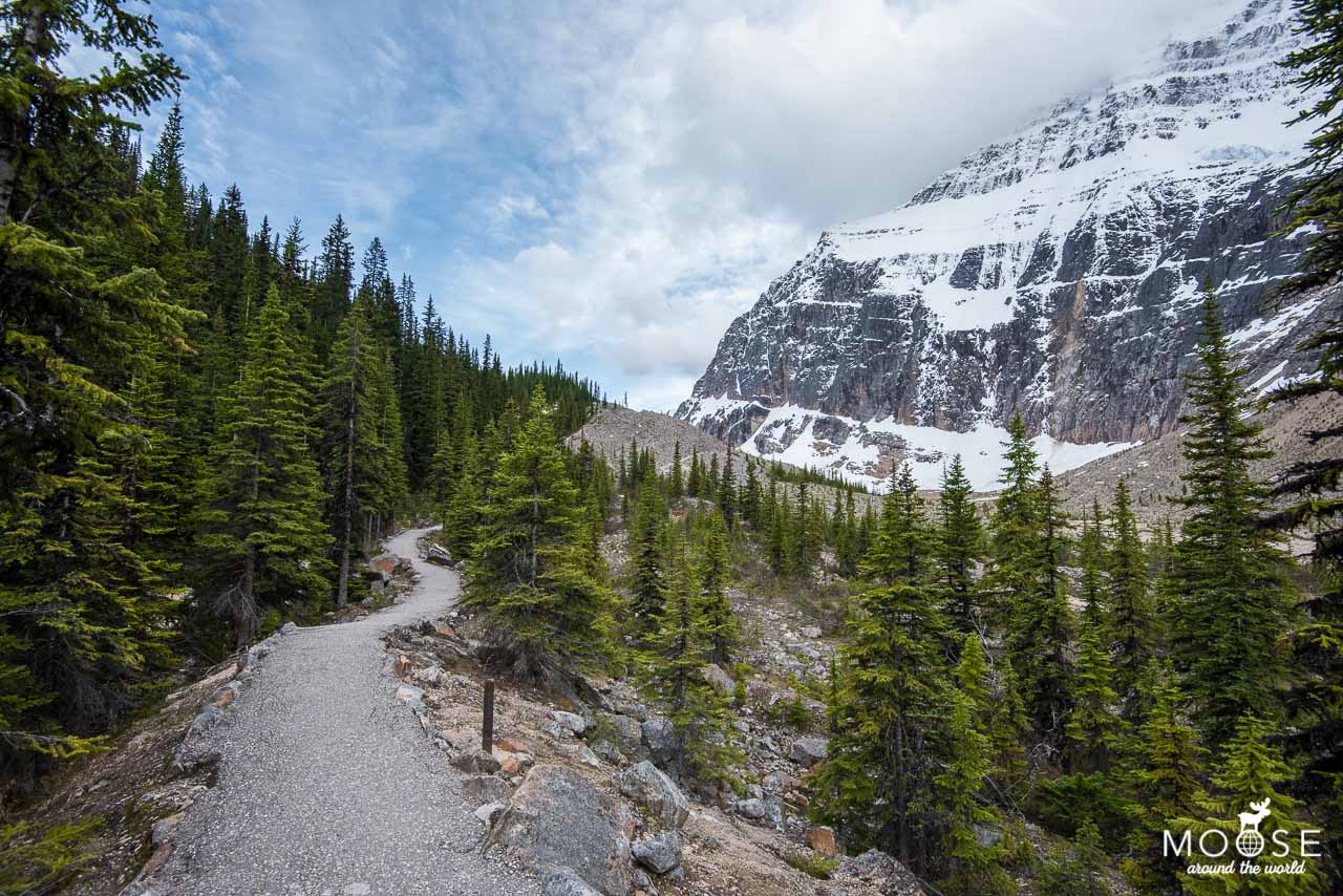 Path of the Glacier Trail Mount Edith Cavell