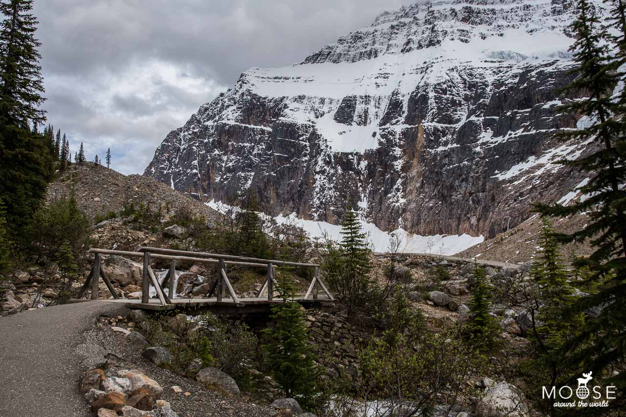 Path of the Glacier Trail Mount Edith Cavell