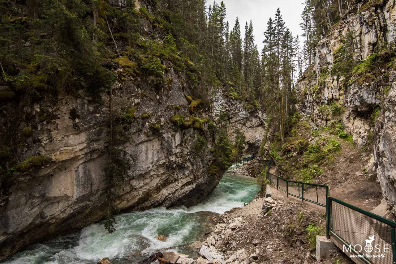 Johnston Canyon 