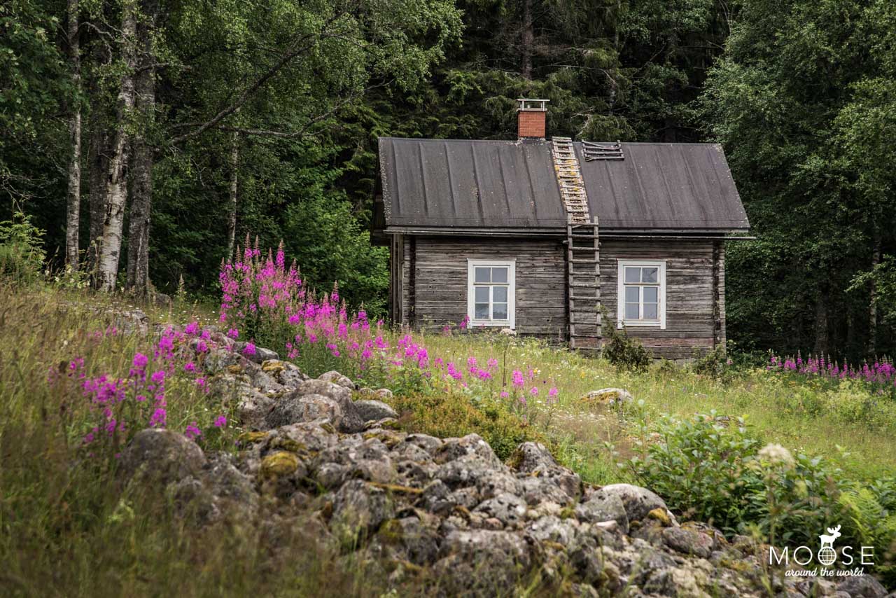 Farm Wanderung Mattila Farm Koli Nationalpark