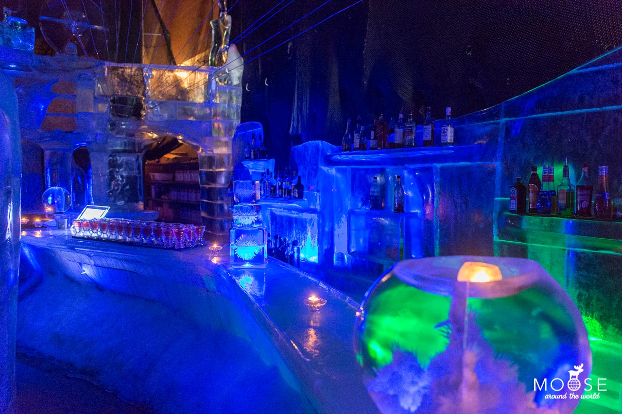 Eisbar Magic Ice Lofoten Museum Eisskulpturen