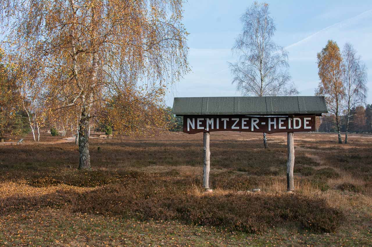 NemitzerHeide-45-0787
