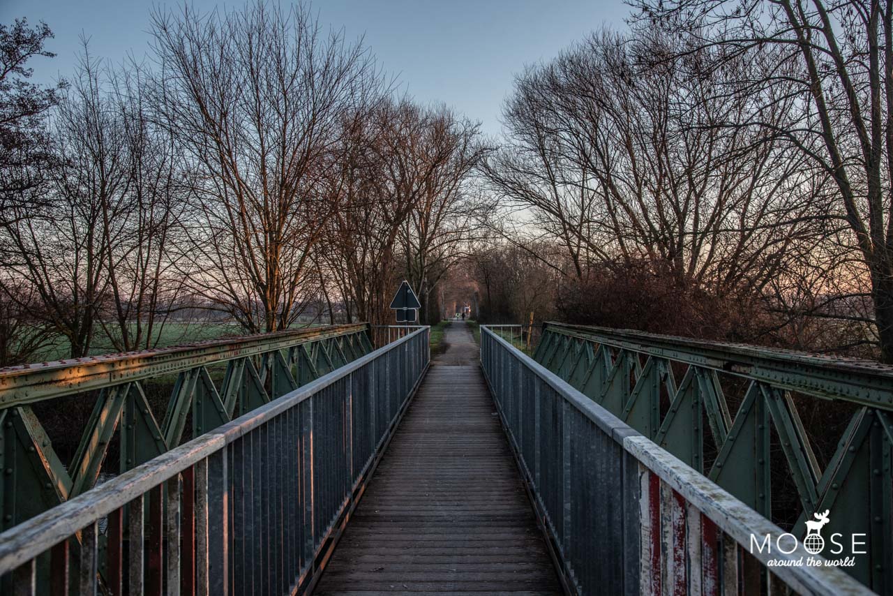 Wanderung Niersauen-Runde Premiumspazierwanderweg Niederrhein Grefrath Oedt Winter