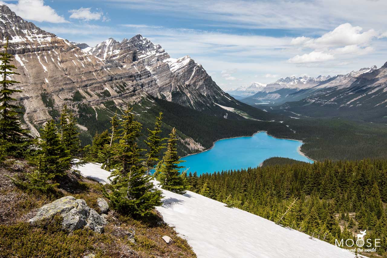 Bow Summit Wanderung Peyto Lake