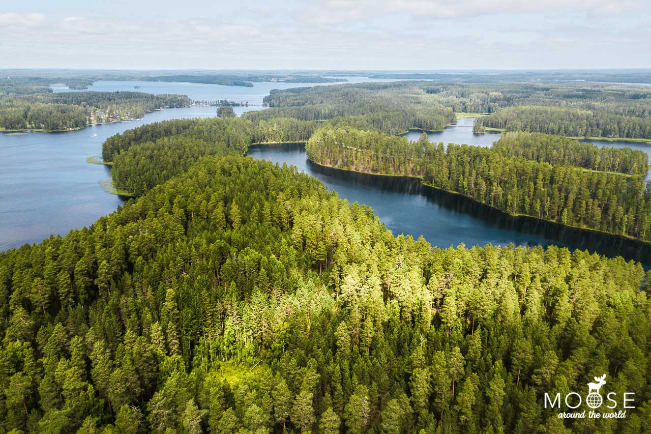 Punkaharju Ridge Saimaa Seen Finnland