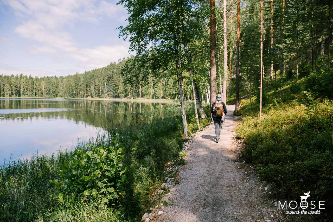 Harjureitti Trail Punkaharju Saimaa Finnland