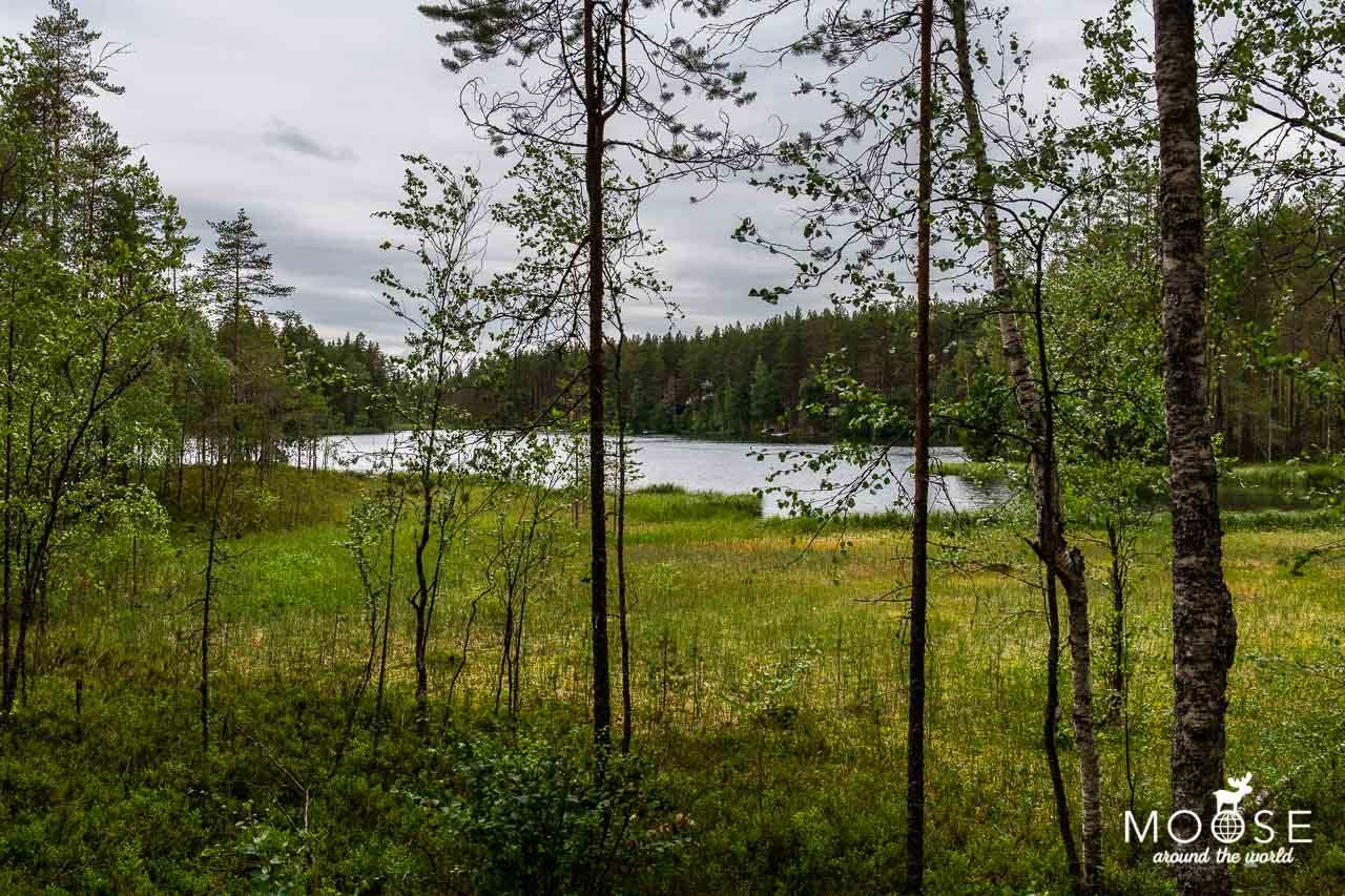 Rokua Nationalpark Harjunpolku