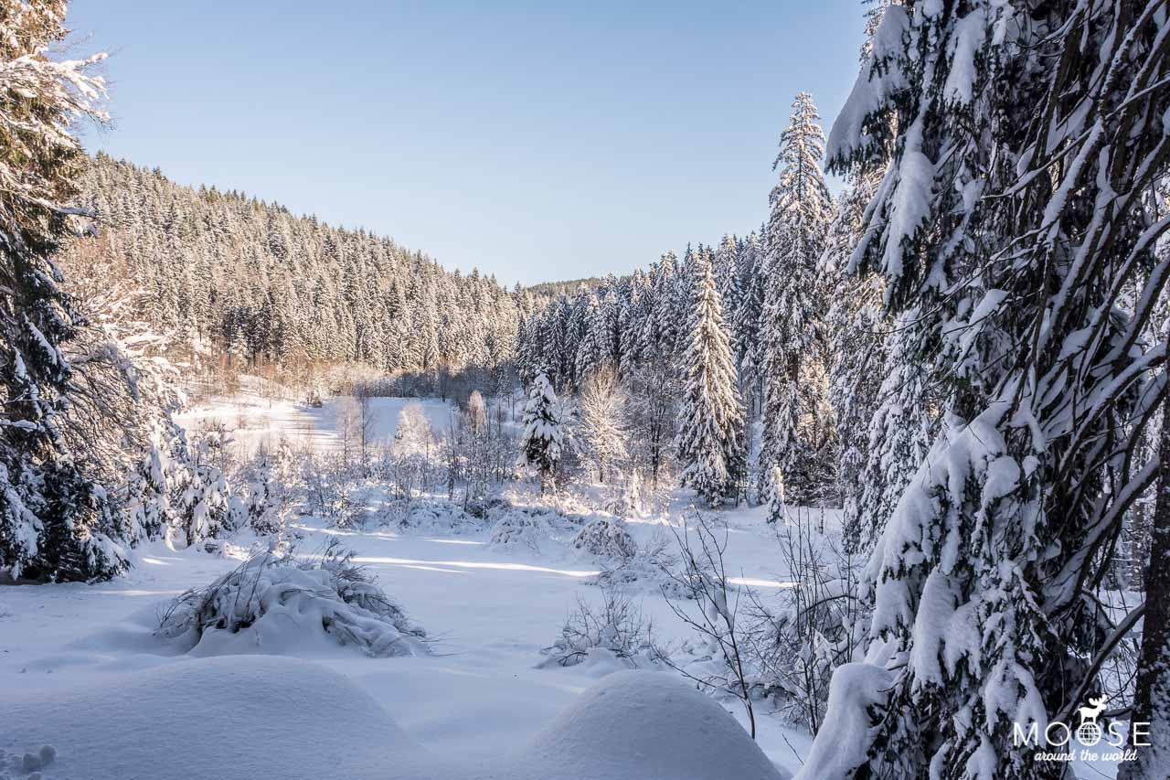 Der tief verschneite Sankenbachsee im Winter