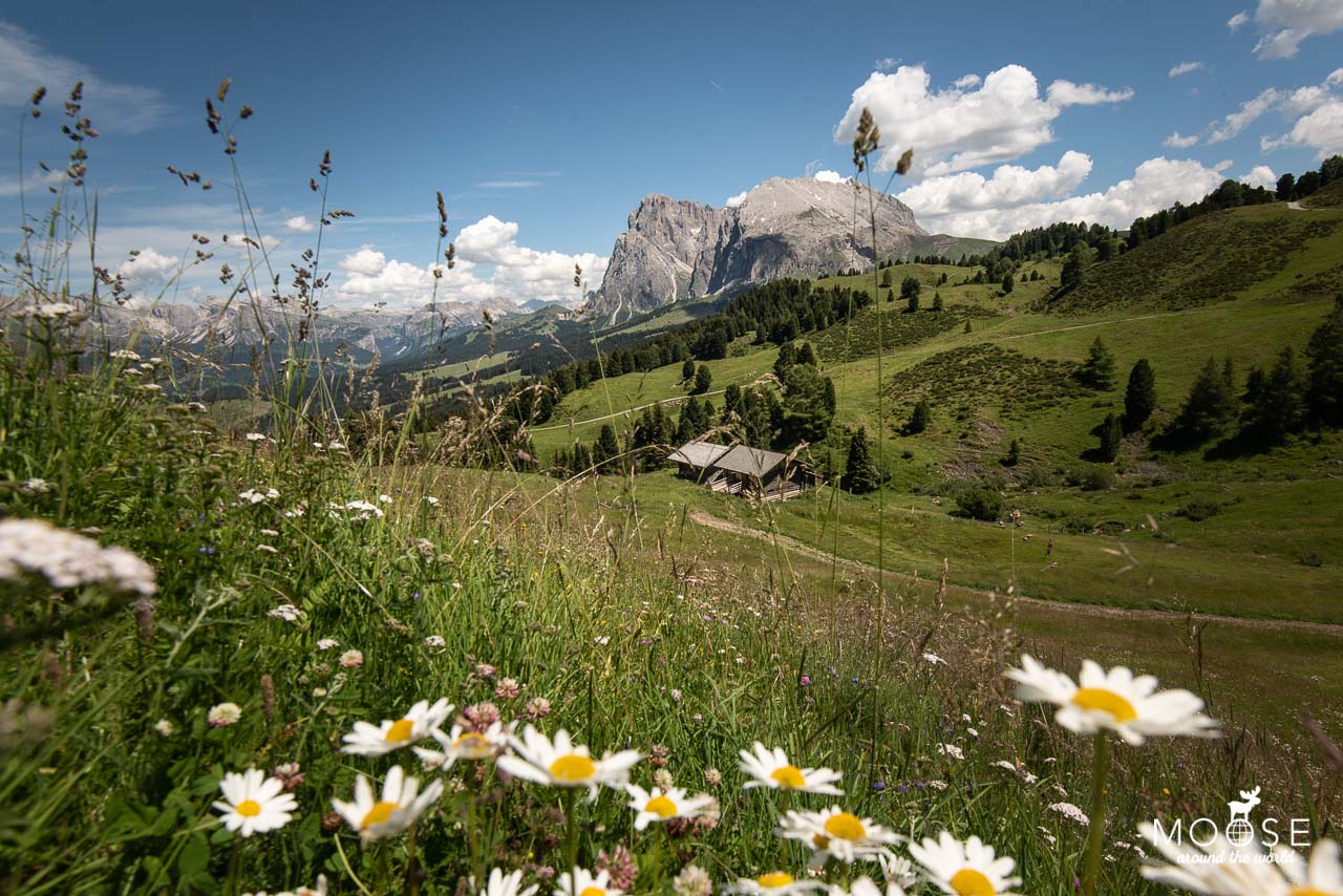 Seiser Alm Südtirol