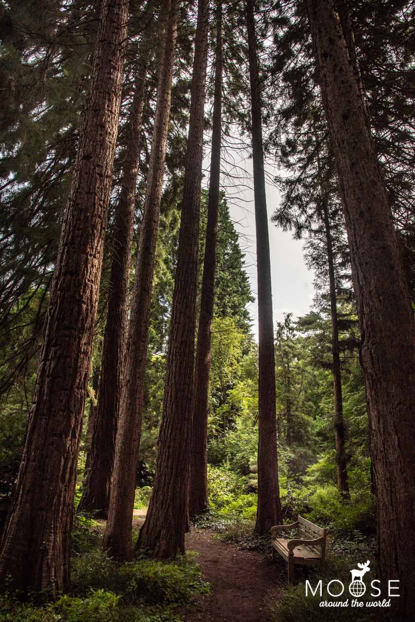 Sequoiafarm Kaldenkirchen am Niederrhein