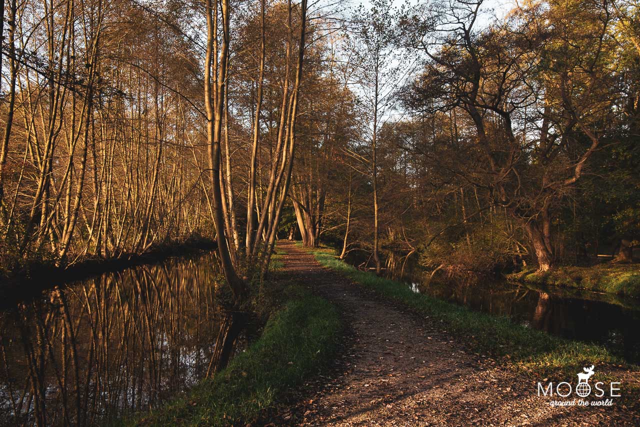 Wanderung vom Borner See nach Brüggen